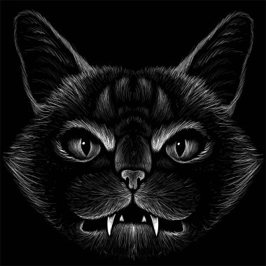 Dövme ya da tişört tasarımı için logo kedisi.