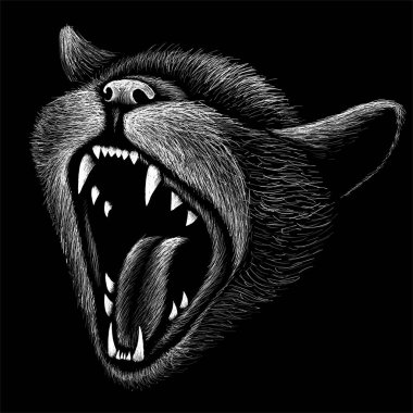 Dövme ya da tişört tasarımı için logo kedisi.