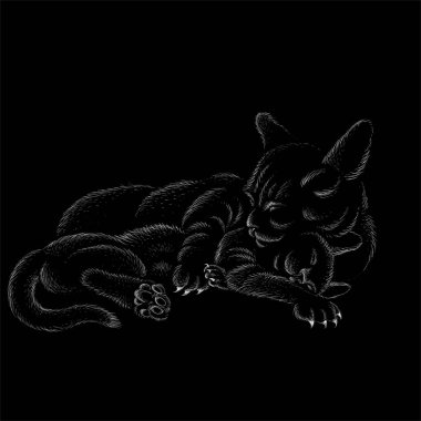 Dövme ya da tişört tasarımı için logo kedisi.