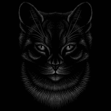 Dövme ya da tişört tasarımı için logo kedisi. Sevimli yazdırma tarzı kedi arkaplanı. 