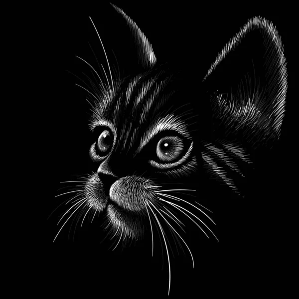 Το λογότυπο γάτα για τατουάζ ή T-shirt σχεδιασμό ή outwear. Χαριτωμένο φόντο γάτα στυλ εκτύπωσης. — Φωτογραφία Αρχείου