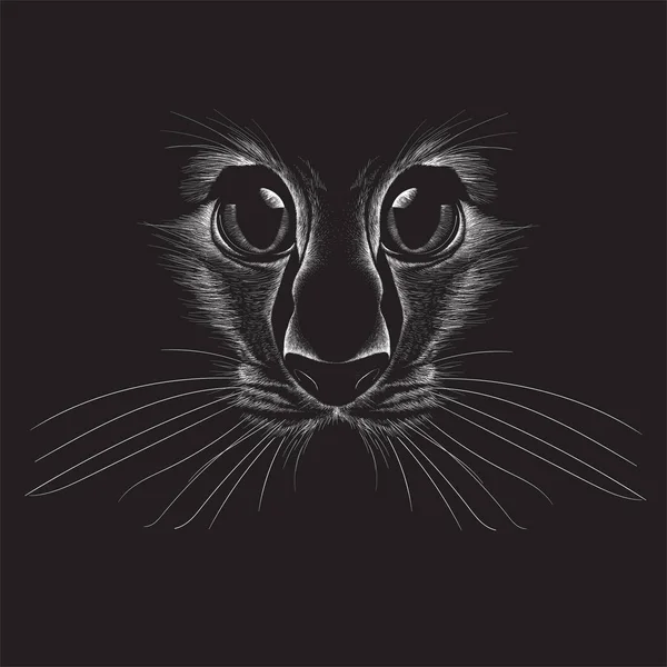 Gato Logotipo Para Tatuagem Design Camiseta Roupa Interior Bonito Impressão — Fotografia de Stock