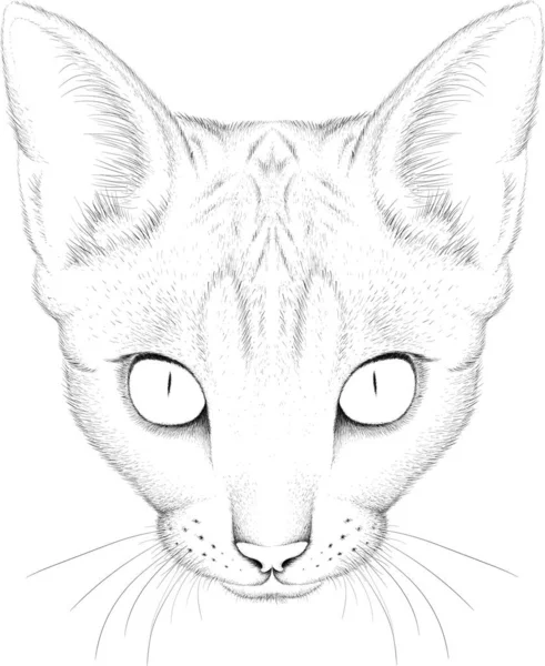 El gato del logotipo para el tatuaje o la camiseta de diseño o outwear. Lindo estilo de impresión gato fondo . — Foto de Stock