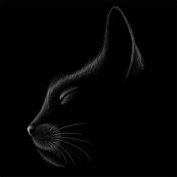 O gato logotipo para tatuagem ou design de camiseta ou roupa interior. bonito impressão estilo gato fundo . — Fotografia de Stock