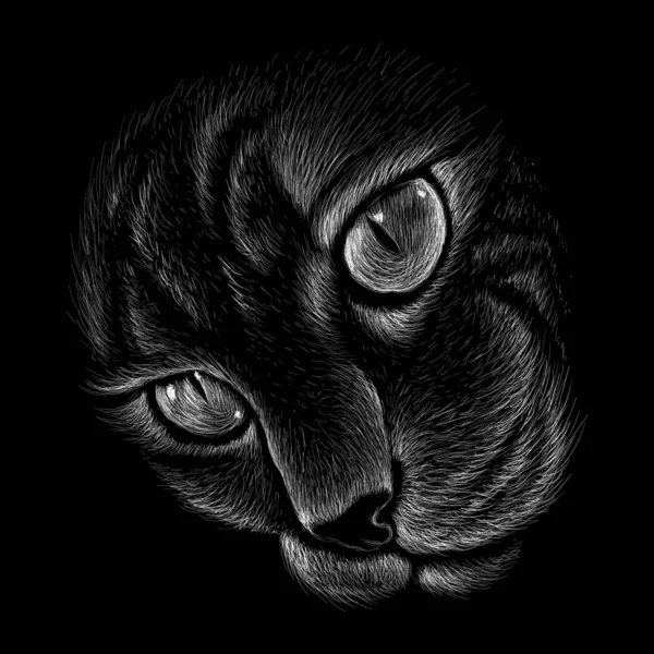 The logo cat for tattoo or T-shirt design or outwear.  Cute print style cat background.