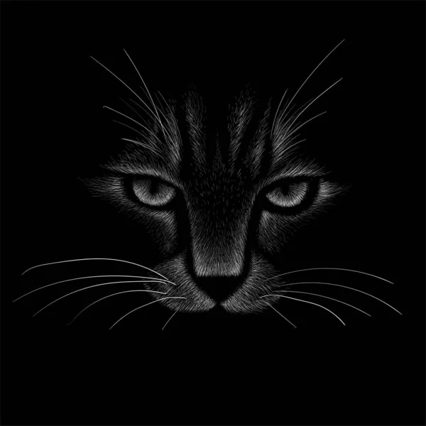 Gato Del Logotipo Para Tatuaje Camiseta Diseño Outwear — Foto de Stock