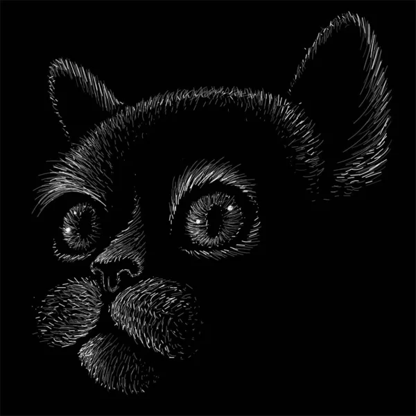 Λογότυπο Γάτα Για Τατουάζ Shirt Σχεδιασμό Outwear — Φωτογραφία Αρχείου
