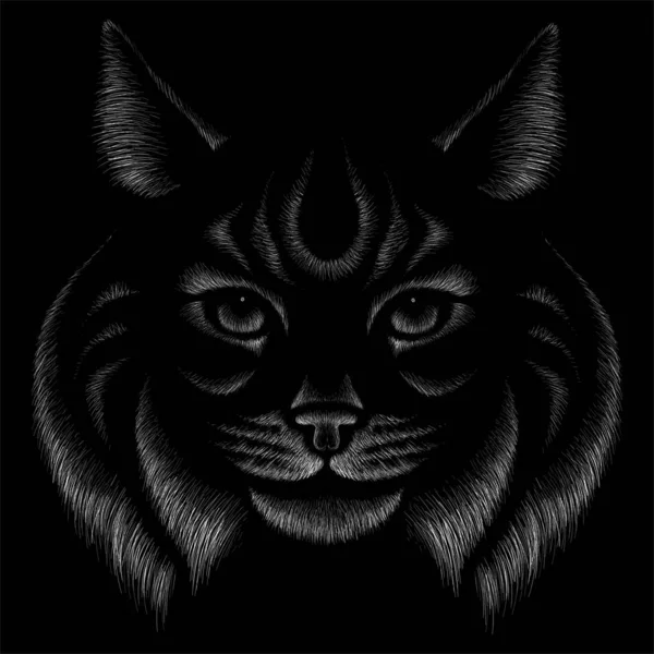 Logo Kočka Pro Tetování Nebo Tričko Design Nebo Oblečení — Stock fotografie