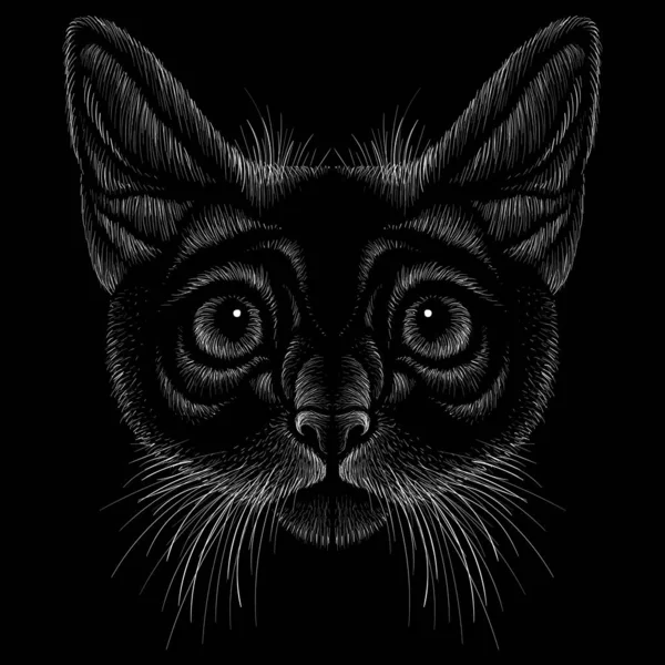 Λογότυπο Γάτα Για Τατουάζ Shirt Σχεδιασμό Outwear — Φωτογραφία Αρχείου