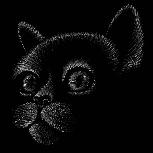 The logo cat for tattoo or T-shirt design or outwear. — 스톡 사진