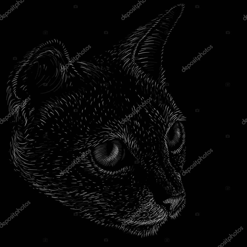 The logo cat for tattoo or T-shirt design or outwear.