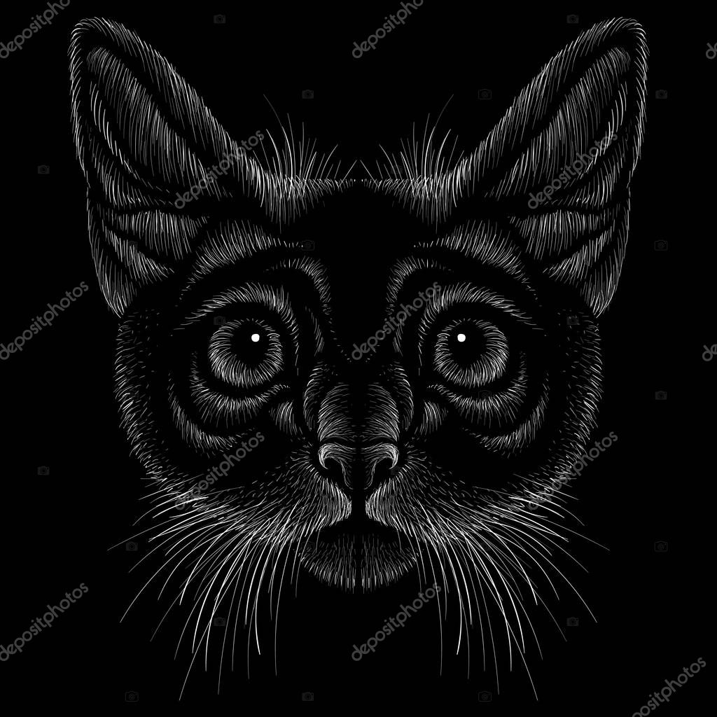 The logo cat for tattoo or T-shirt design or outwear.