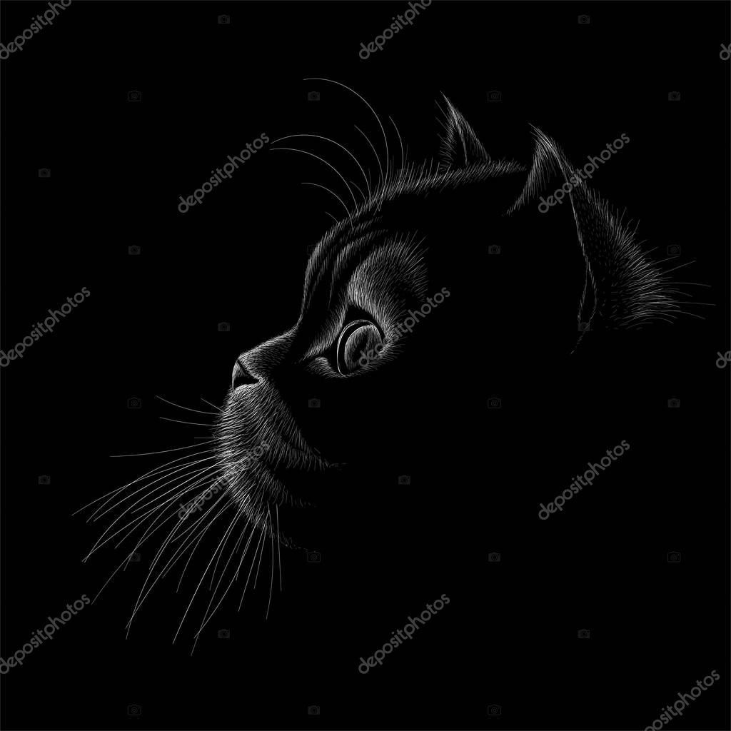 The logo cat for tattoo or T-shirt design or outwear.