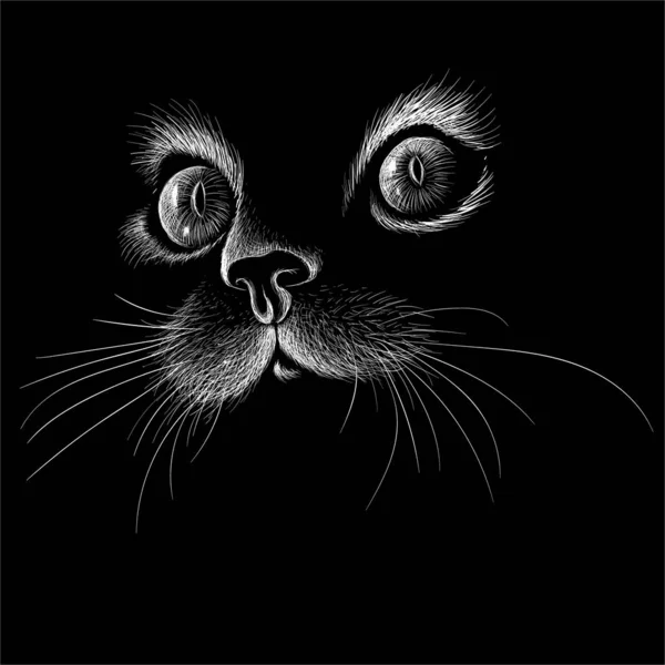 The Vector logo cat for tattoo or T-shirt design or outwear. — Stock fotografie