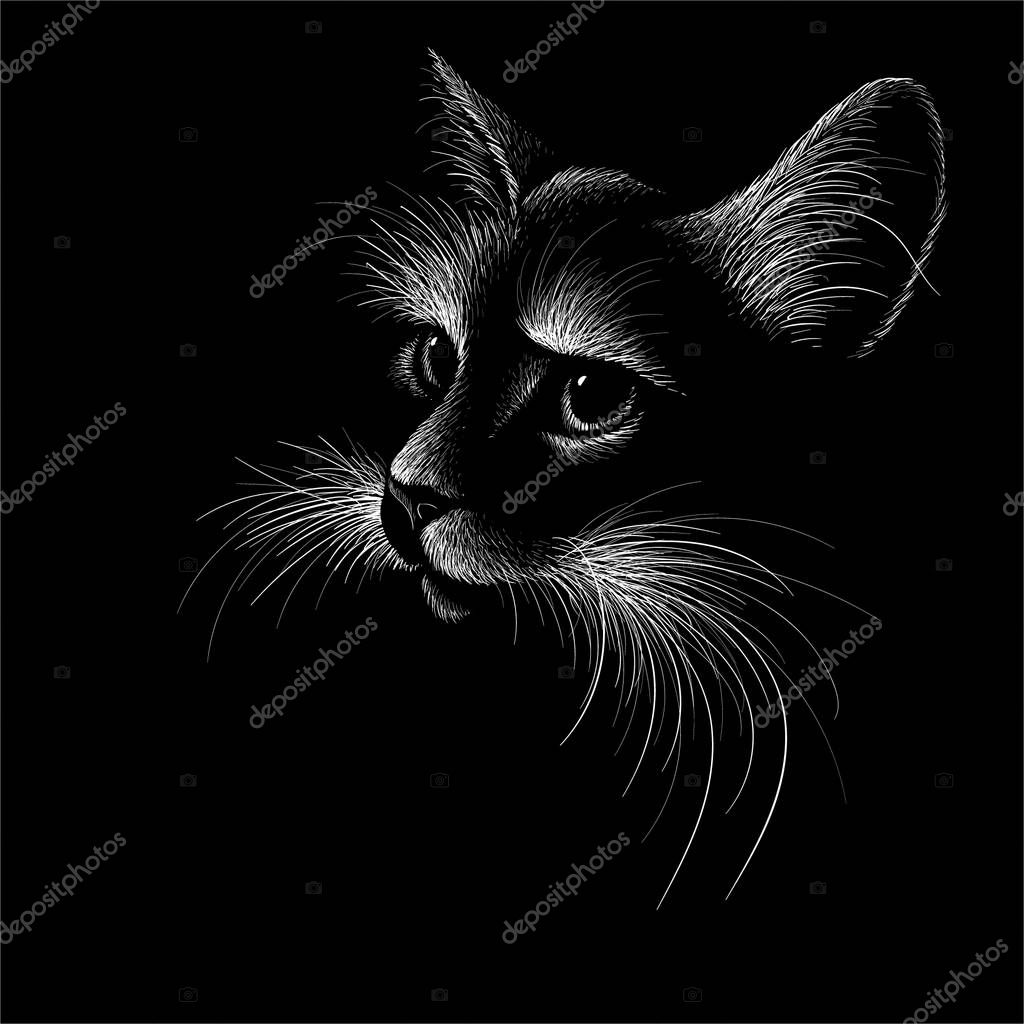 The Vector logo cat for tattoo or T-shirt design or outwear.  Cute print style cat background. This drawing would be nice to make on the black fabric or canvas