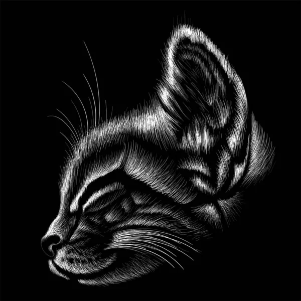 Logotipo Gato Para Tatuagem Shirt Design Roupa Interior Simplesmente Ilustração — Fotografia de Stock