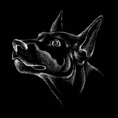 Dövme ya da tişört tasarımı için logo köpeği ya da outwear, basitçe illüstrasyon 