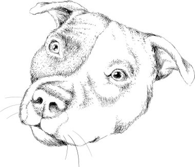 Dövme ya da tişört tasarımı için logo köpeği ya da outwear, basitçe illüstrasyon 