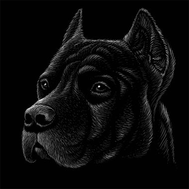 Dövme ya da tişört tasarımı için logo köpeği ya da outwear, basitçe illüstrasyon 