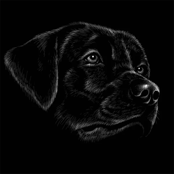 Logo Hund Für Tätowierung Oder Shirt Design Oder Outwear Einfach — Stockfoto
