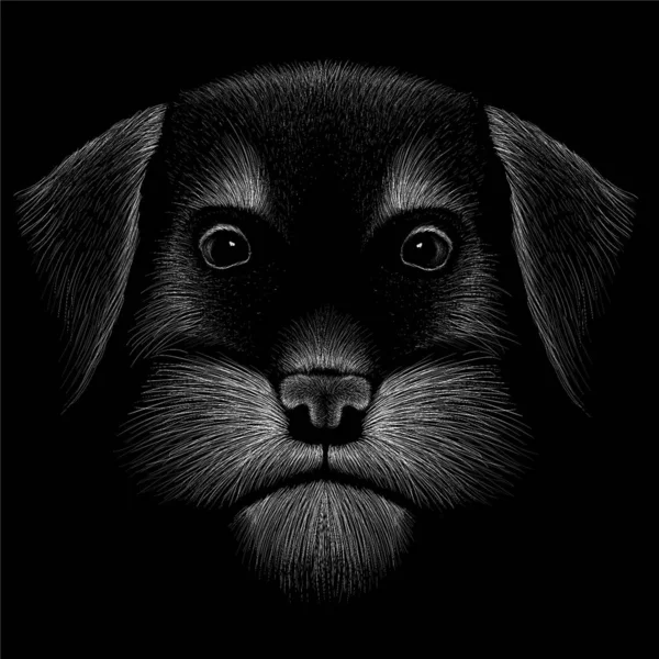 Логотип Собаки Татуювання Або Дизайну Футболок Або Одягу Просто Ілюстрація — стокове фото