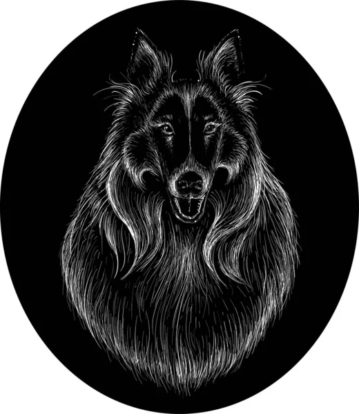 Logo Collie Dog Tattoo Shirt Design Outwear Simply Illustration — Stock Photo, Image