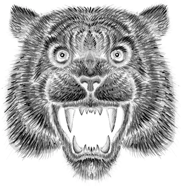 Logo Tygrys Dla Projektu Tatuażu Lub Shirt Lub Bielizna Prostu — Zdjęcie stockowe