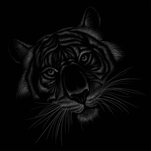 Tigre Logotipo Para Tatuagem Design Camiseta Roupa Interior Simplesmente Ilustração — Fotografia de Stock