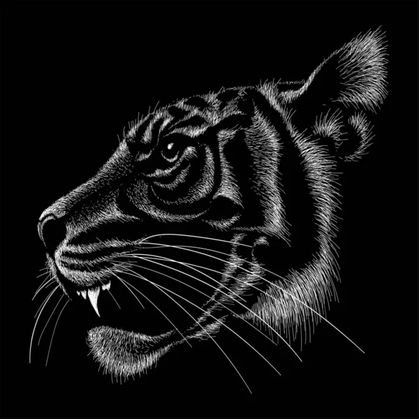 Tigre Del Logotipo Para Tatuaje Diseño Ropa Camiseta Ilustración Simple —  Fotos de Stock