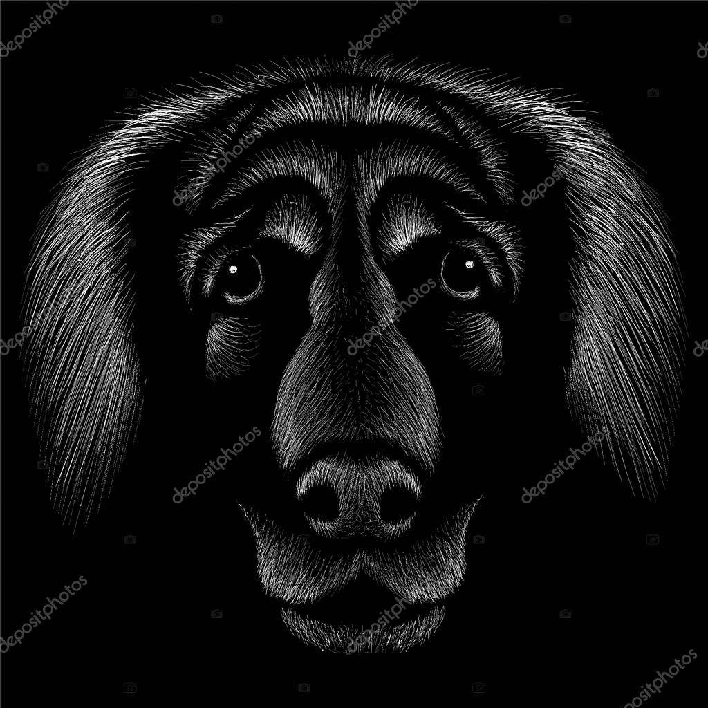 Logo dog for tattoo or T-shirt design or outwear, simply illustration