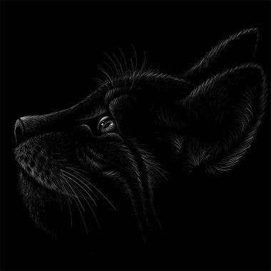 Dövme ya da kumaş tasarımı için kedi logosu, basitçe vektör çizimi  