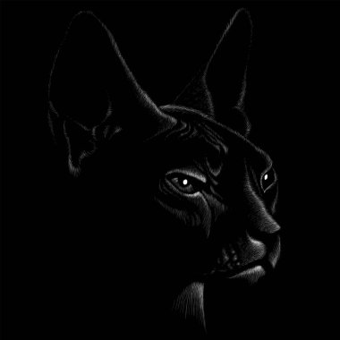 Dövme ya da kumaş tasarımı için kedi logosu, basitçe vektör çizimi  