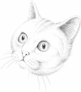 Dövme ya da kumaş tasarımı için kedi logosu, basitçe vektör çizimi  