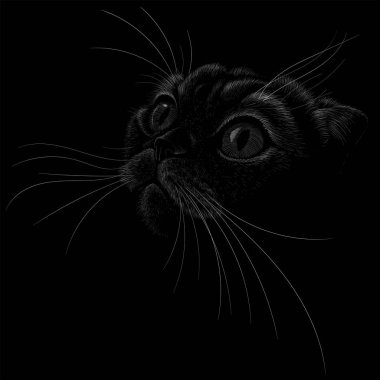 Dövme ya da kumaş tasarımı için kedi logosu, basitçe vektör çizimi  