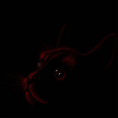 Dövme ya da kumaş tasarımı için kedi logosu, basitçe vektör çizimi  