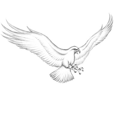 Dövme ya da kumaş tasarımı için kartal logosu, basitçe vektör çizimi  