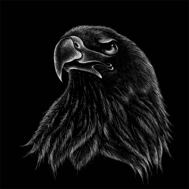 Dövme ya da kumaş tasarımı için kartal logosu, basitçe vektör çizimi  