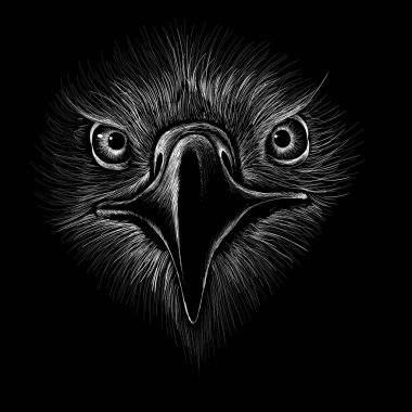 Dövme ya da kumaş tasarımı için kartal logosu, basitçe vektör çizimi  