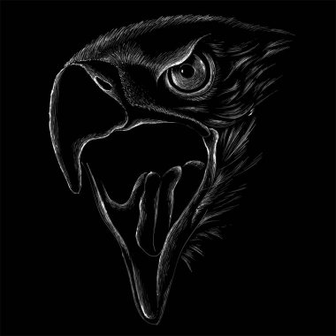 Dövme ya da kumaş tasarımı için kartal logosu, basitçe vektör çizimi  