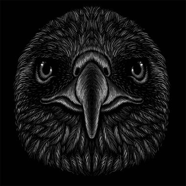Dövme ya da kumaş tasarımı için kartal logosu, basitçe vektör çizimi  