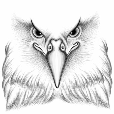 Dövme ya da kumaş tasarımı için kartal logosu, basitçe vektör çizimi  