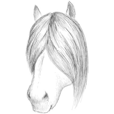 Dövme ya da kumaş tasarımı için logo atı, basitçe vektör çizimi  