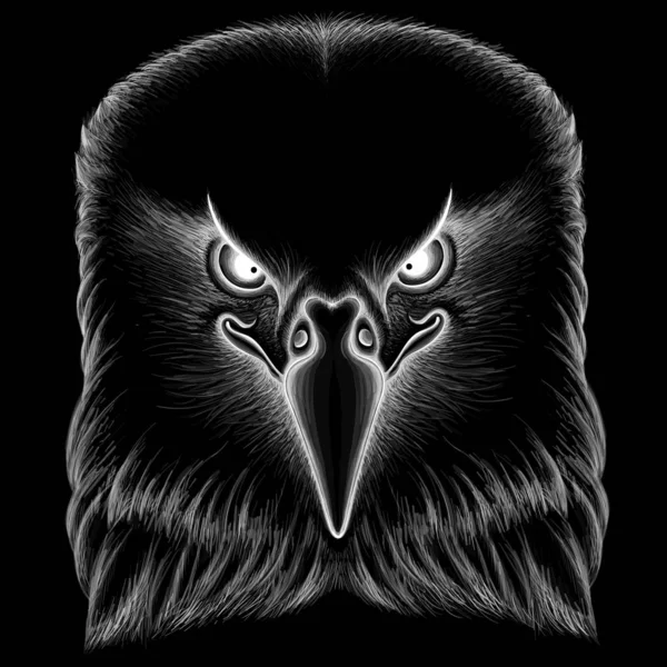 Eagle Logo Simply Vector Illustration — 스톡 벡터