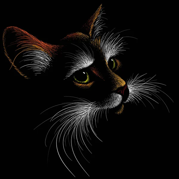 Logotipo Del Gato Para Tatuaje Diseño Tela Ilustración Vectorial Simple — Archivo Imágenes Vectoriales