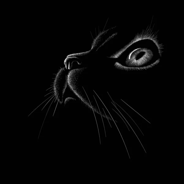 Logo Kočky Pro Potetování Nebo Textilní Design Jednoduše Vektorová Ilustrace — Stockový vektor