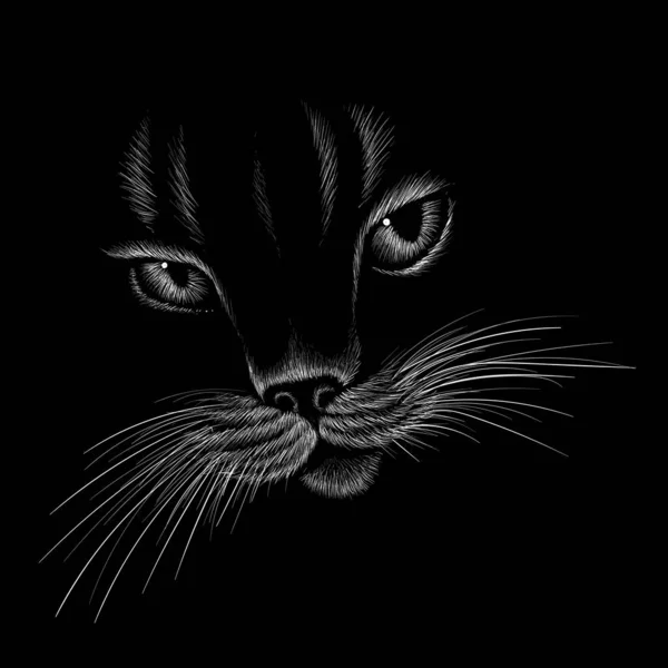 Logotipo Gato Para Tatuagem Design Pano Simplesmente Ilustração Vetorial —  Vetores de Stock