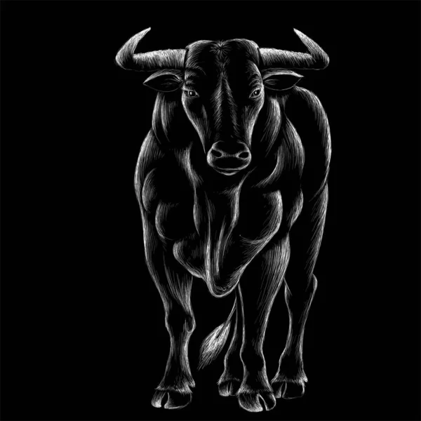 Bull Logotyp Helt Enkelt Vektor Illustration — Stock vektor