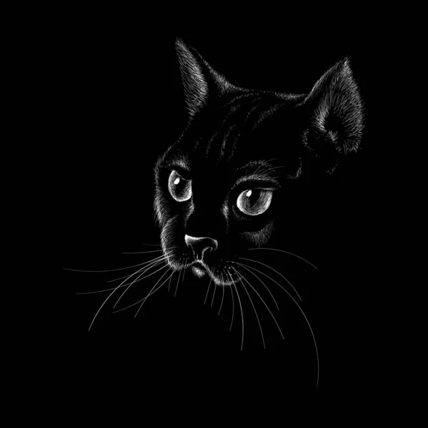 Logotipo Del Gato Para Tatuaje Diseño Tela Ilustración Vectorial Simple — Archivo Imágenes Vectoriales