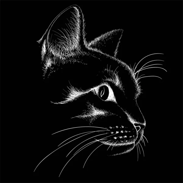Logo Der Katze Für Tätowierung Oder Stoffdesign Einfach Vektorillustration — Stockvektor