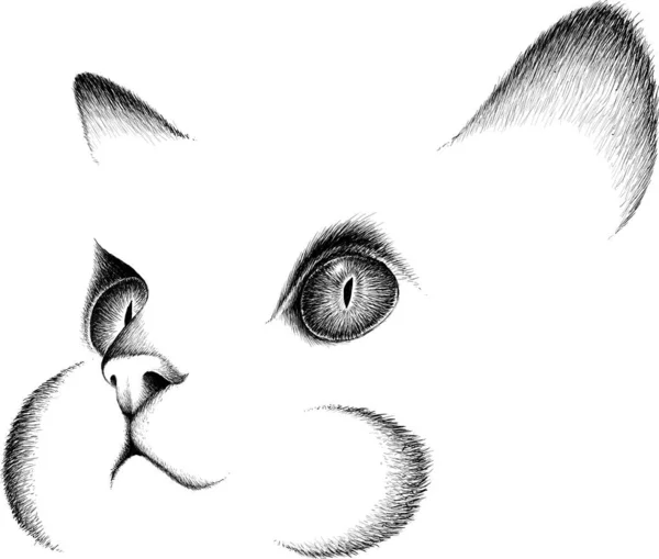 Logo Del Gatto Disegno Del Tatuaggio Del Panno Semplicemente Illustrazione — Vettoriale Stock